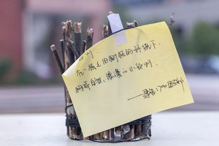 創(chuàng)意制作，一起開開腦洞